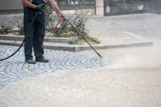 Best Animal Enclosure Cleaning  in Pioneer, CA